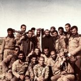 قوانین‌ شاهد