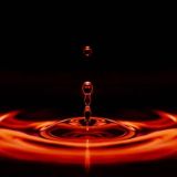 MUSIC ZAKAZ