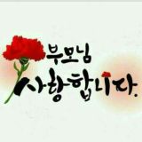 대한 민국💖💖💖💖💖