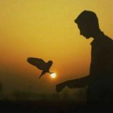 H͟a͟y͟o͟t͟ ꌚꀍꀎꈤꏳꀍꍏꀘꀤ ꌩsɪɴᴏᴠ