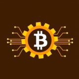 Bitcoin America🇺🇸