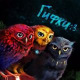 Гифки ️