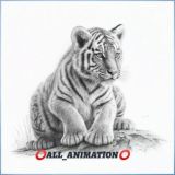 ⭕️𝙰𝙻𝙻_𝙰𝙽𝙸𝙼𝙰𝚃𝙸𝙾𝙽⭕️