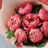 @sliv_ot_blogerov_2👈ищи в поиске!