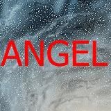 ANGEL ID