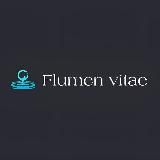 Flumen vitae сумки-шопперы