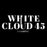 ПароСфера 45 VAPE Kurgan