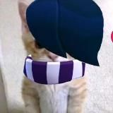 Сарапул Сити