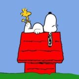 ❝ 𝐌𝐨𝐨𝐝 𝐅𝐫𝐚𝐬𝐞𝐬 ❞