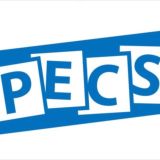 PECS Россия