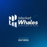 Samih Agwa Market Whales 🐳