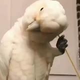 Пульс Крыма