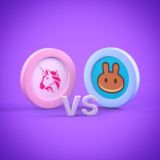 Shitcoin 100x BSC/ETH Project