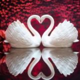 __TANISHUVLAR__OLAMI__