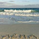 ЛЕИД (хьехамаш)