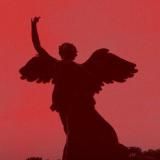 impermeabil la orice