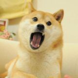 -__Exㄷㄴu리ve__-