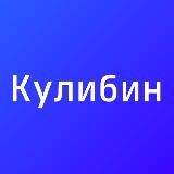 Кулибин | Цифровая образовательная среда