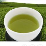 Green Tea Coin Group