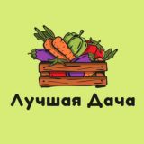 Лучшая Дача