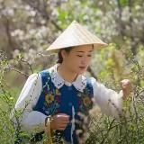 滇西小哥 Dianxi Xiaoge