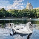 Патриаршие Пруды