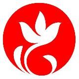 Вяснянка 98%