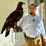 nature.science_official