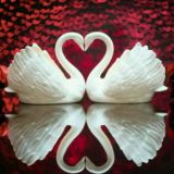 🐾 ,🕊·̲٠̲•̲❥̲•ѕ̲н̲σ̲x̲σ̲η̲α̲•❥̲•̲٠̲·̲ ₯₰ㅤ