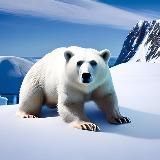 Антарктида и полая земля