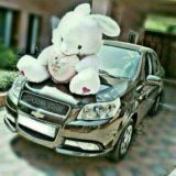 Qᴀᴅʀɪ ʙᴀʟᴀɴᴅ ǫᴀᴅɪʀᴅᴏɴʟᴀʀɪᴍ