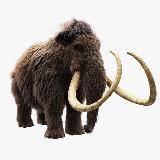 $POT $CAM $HIT 💩👿