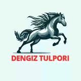 𝘿𝙀𝙉𝙂𝙄𝙕_𝙏𝙐𝙇𝙋𝙊𝙍𝙄_𝙆𝙊ʻ𝙋𝙆𝘼𝙍𝙄