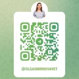 Чат канала vetendointernal