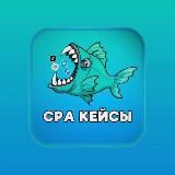 Арбитраж трафика CPA Кейсы