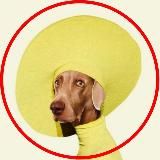 ВСЁ ДЛЯ СТОРИС