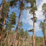 Минприроды Самарской области