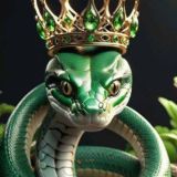 مهره مار اصل هندوستان🇮🇳