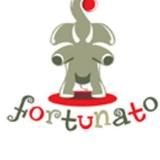 Travel Agency Fortunato Путешествие Бронирование Он-лайн Новости туризма