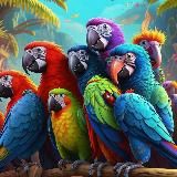 Любимые попугаи