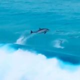 Ⓜ️ Новороссийск 24/7