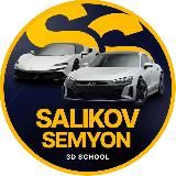 Salikov S 3D School