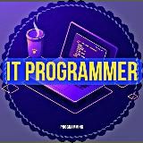 IT PROGRAMMER