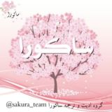 محافظ کانال ساکورا