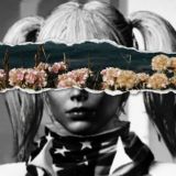 weizer PRO ANDROID FEEDBACK