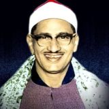 الشيخ محمد صديق المنشاوي