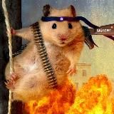 Бывалый Хомяк