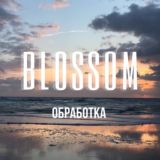 ФОТО | ОБРАБОТКА | ПРЕСЕТЫ 🍒 BLOSSOM