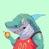 Shark galaxy 🦈 CRYPTO