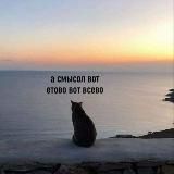 Веселые картинки